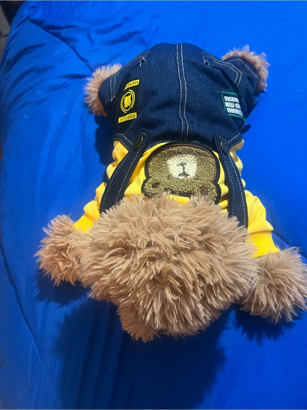 Dog  Overall with Yellow sweater - Picture 2 of 7